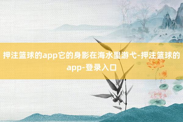 押注篮球的app它的身影在海水里游弋-押注篮球的app-登录入口