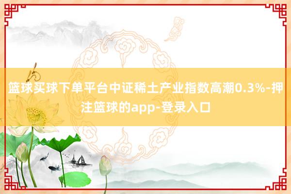 篮球买球下单平台中证稀土产业指数高潮0.3%-押注篮球的app-登录入口