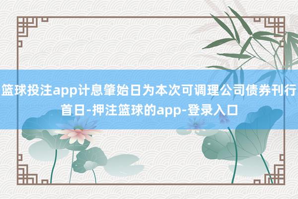 篮球投注app计息肇始日为本次可调理公司债券刊行首日-押注篮球的app-登录入口