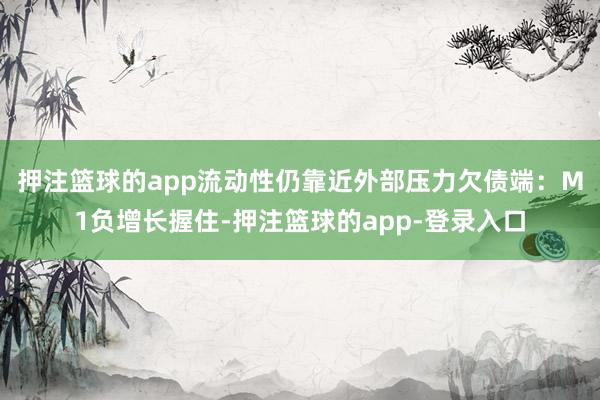 押注篮球的app流动性仍靠近外部压力　　欠债端：M1负增长握住-押注篮球的app-登录入口
