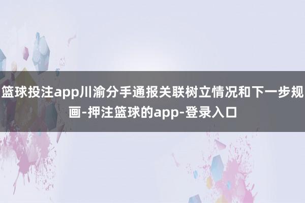 篮球投注app川渝分手通报关联树立情况和下一步规画-押注篮球的app-登录入口