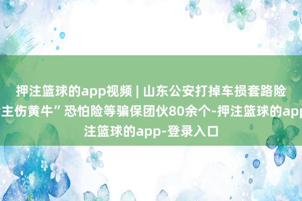 押注篮球的app视频 | 山东公安打掉车损套路险、“东说念主伤黄牛”恐怕险等骗保团伙80余个-押注篮球的app-登录入口