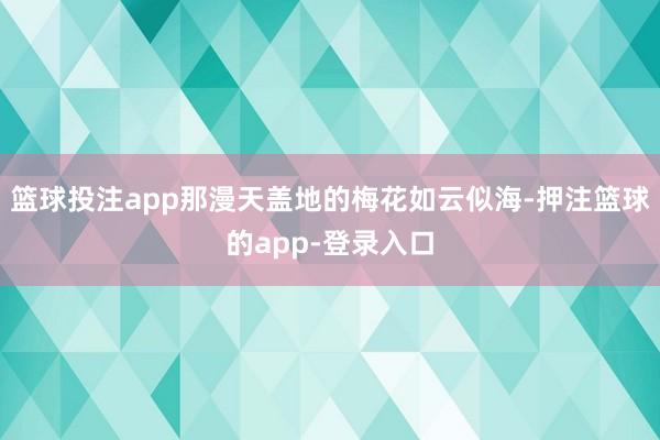 篮球投注app那漫天盖地的梅花如云似海-押注篮球的app-登录入口