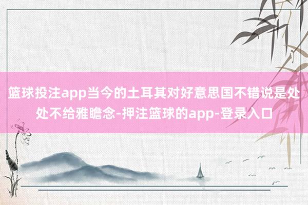 篮球投注app当今的土耳其对好意思国不错说是处处不给雅瞻念-押注篮球的app-登录入口