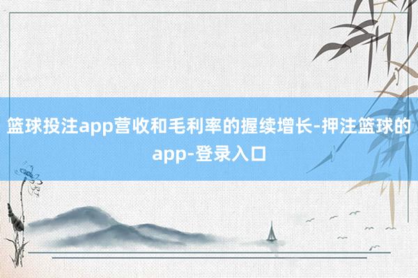 篮球投注app营收和毛利率的握续增长-押注篮球的app-登录入口