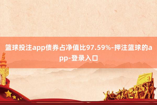 篮球投注app债券占净值比97.59%-押注篮球的app-登录入口