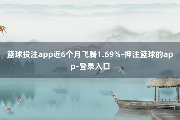 篮球投注app近6个月飞腾1.69%-押注篮球的app-登录入口