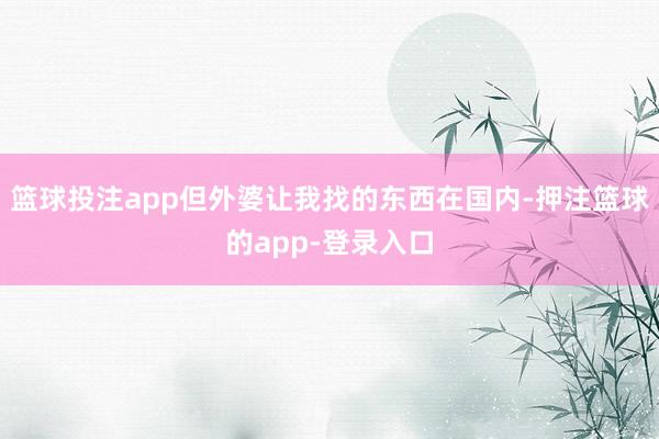 篮球投注app但外婆让我找的东西在国内-押注篮球的app-登录入口