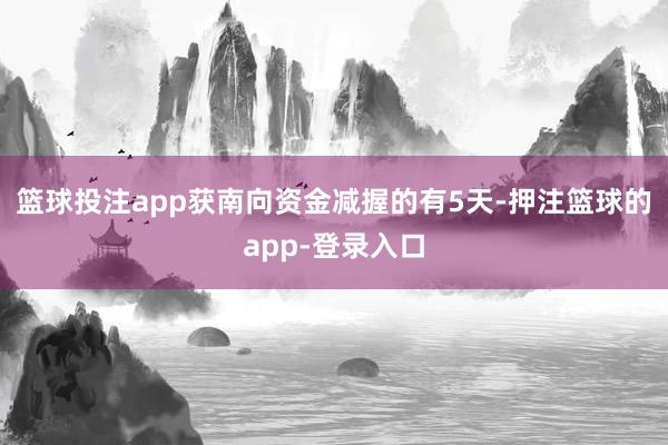篮球投注app获南向资金减握的有5天-押注篮球的app-登录入口