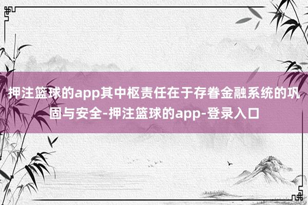 押注篮球的app其中枢责任在于存眷金融系统的巩固与安全-押注篮球的app-登录入口