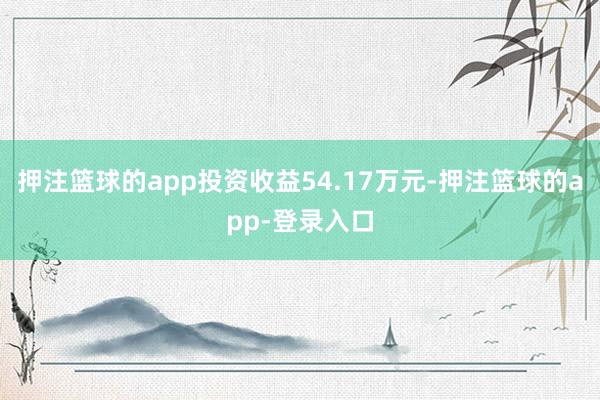 押注篮球的app投资收益54.17万元-押注篮球的app-登录入口