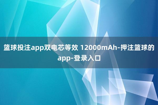 篮球投注app双电芯等效 12000mAh-押注篮球的app-登录入口