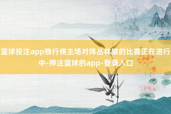篮球投注app独行侠主场对阵丛林狼的比赛正在进行中-押注篮球的app-登录入口
