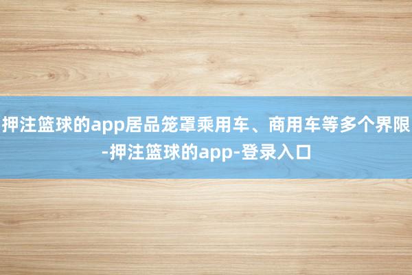 押注篮球的app居品笼罩乘用车、商用车等多个界限-押注篮球的app-登录入口
