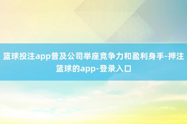 篮球投注app普及公司举座竞争力和盈利身手-押注篮球的app-登录入口