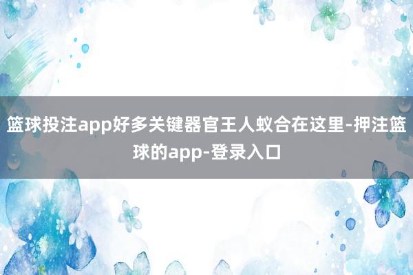 篮球投注app好多关键器官王人蚁合在这里-押注篮球的app-登录入口