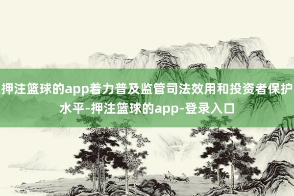 押注篮球的app着力普及监管司法效用和投资者保护水平-押注篮球的app-登录入口