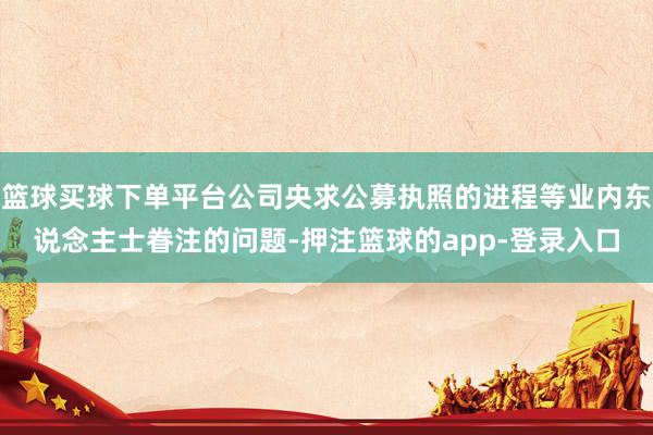 篮球买球下单平台公司央求公募执照的进程等业内东说念主士眷注的问题-押注篮球的app-登录入口