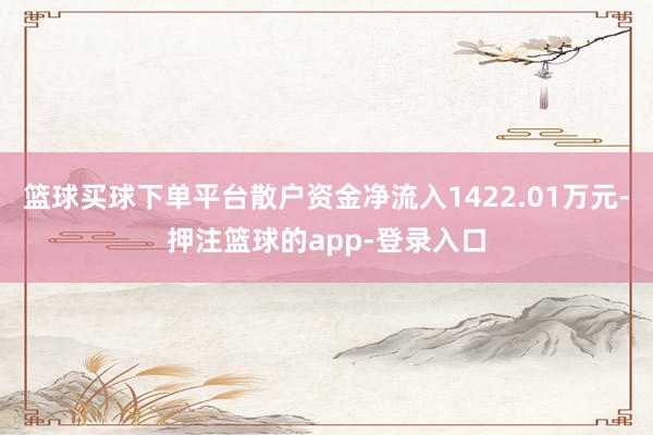 篮球买球下单平台散户资金净流入1422.01万元-押注篮球的app-登录入口