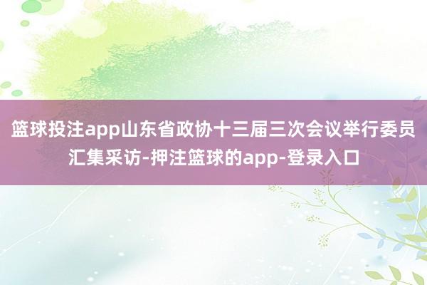篮球投注app山东省政协十三届三次会议举行委员汇集采访-押注篮球的app-登录入口