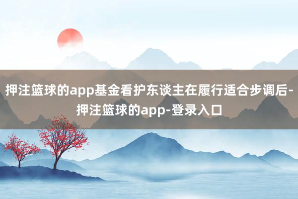 押注篮球的app基金看护东谈主在履行适合步调后-押注篮球的app-登录入口