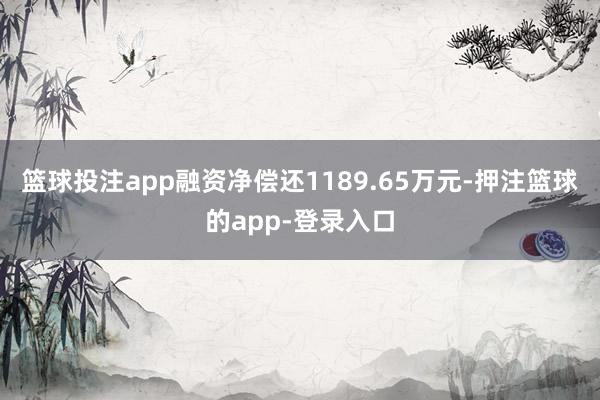 篮球投注app融资净偿还1189.65万元-押注篮球的app-登录入口