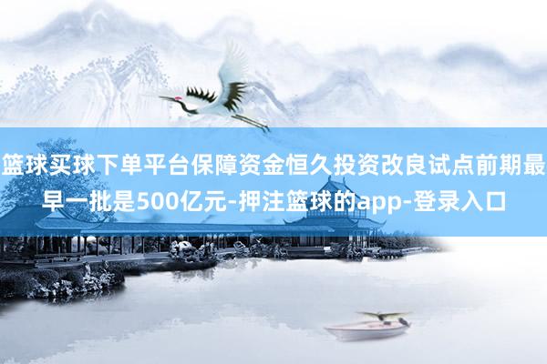 篮球买球下单平台保障资金恒久投资改良试点前期最早一批是500亿元-押注篮球的app-登录入口