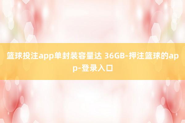 篮球投注app单封装容量达 36GB-押注篮球的app-登录入口