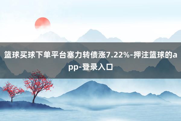 篮球买球下单平台塞力转债涨7.22%-押注篮球的app-登录入口
