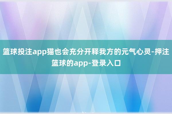 篮球投注app猫也会充分开释我方的元气心灵-押注篮球的app-登录入口