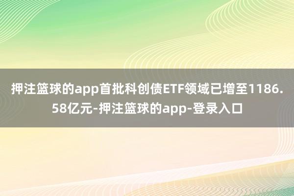 押注篮球的app首批科创债ETF领域已增至1186.58亿元-押注篮球的app-登录入口