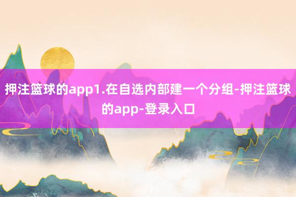 押注篮球的app1.在自选内部建一个分组-押注篮球的app-登录入口