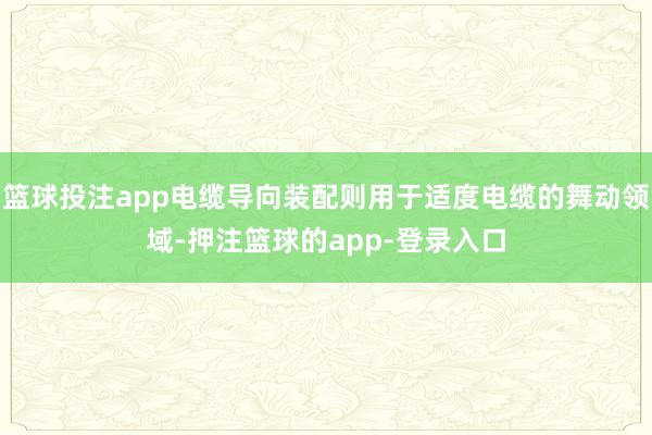 篮球投注app电缆导向装配则用于适度电缆的舞动领域-押注篮球的app-登录入口