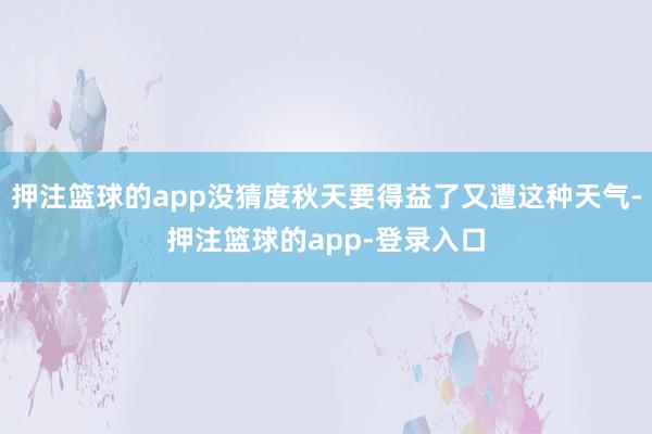押注篮球的app没猜度秋天要得益了又遭这种天气-押注篮球的app-登录入口