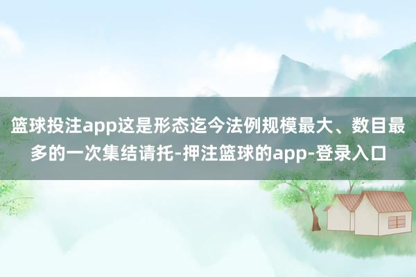 篮球投注app这是形态迄今法例规模最大、数目最多的一次集结请托-押注篮球的app-登录入口