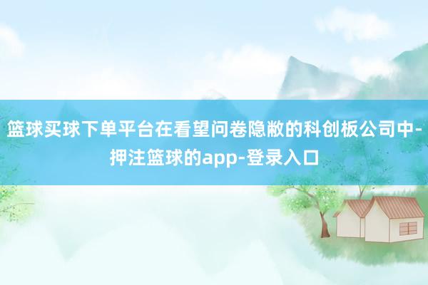 篮球买球下单平台在看望问卷隐敝的科创板公司中-押注篮球的app-登录入口