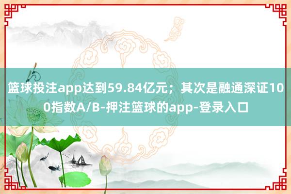 篮球投注app达到59.84亿元;其次是融通深证100指数A/B-押注篮球的app-登录入口