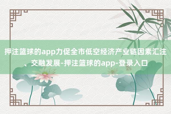 押注篮球的app力促全市低空经济产业链因素汇注、交融发展-押注篮球的app-登录入口