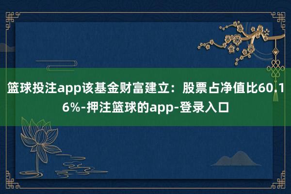 篮球投注app该基金财富建立：股票占净值比60.16%-押注篮球的app-登录入口