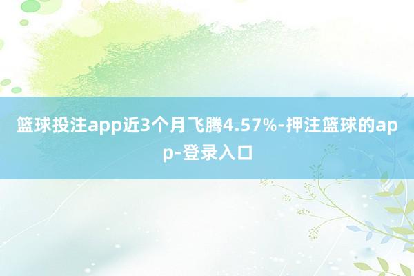 篮球投注app近3个月飞腾4.57%-押注篮球的app-登录入口
