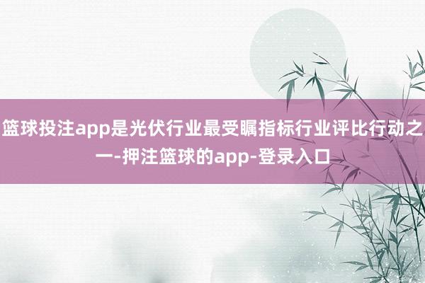 篮球投注app是光伏行业最受瞩指标行业评比行动之一-押注篮球的app-登录入口
