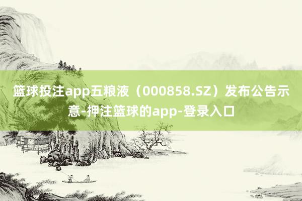 篮球投注app五粮液（000858.SZ）发布公告示意-押注篮球的app-登录入口