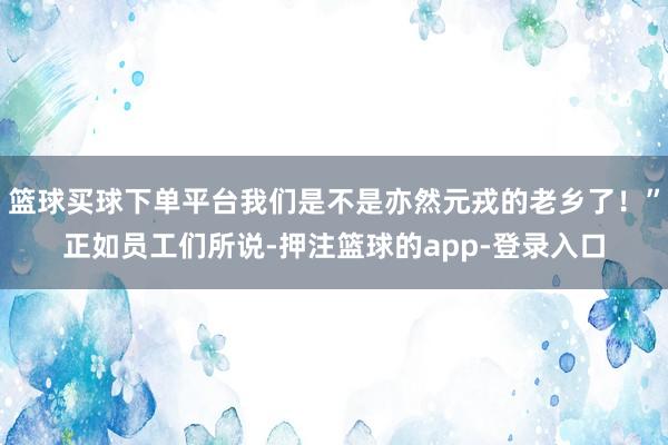 篮球买球下单平台我们是不是亦然元戎的老乡了!”正如员工们所说-押注篮球的app-登录入口