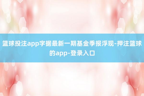 篮球投注app字据最新一期基金季报浮现-押注篮球的app-登录入口