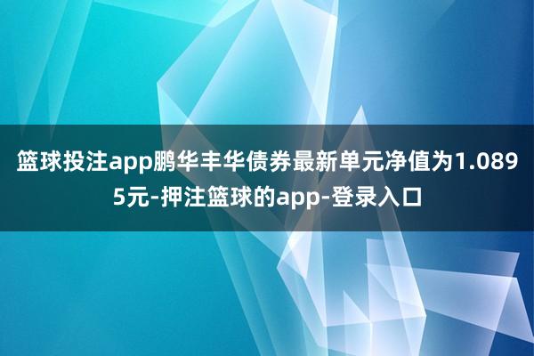 篮球投注app鹏华丰华债券最新单元净值为1.0895元-押注篮球的app-登录入口