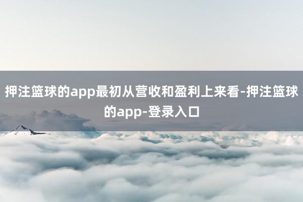 押注篮球的app最初从营收和盈利上来看-押注篮球的app-登录入口