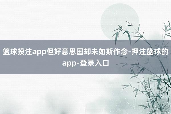 篮球投注app但好意思国却未如斯作念-押注篮球的app-登录入口