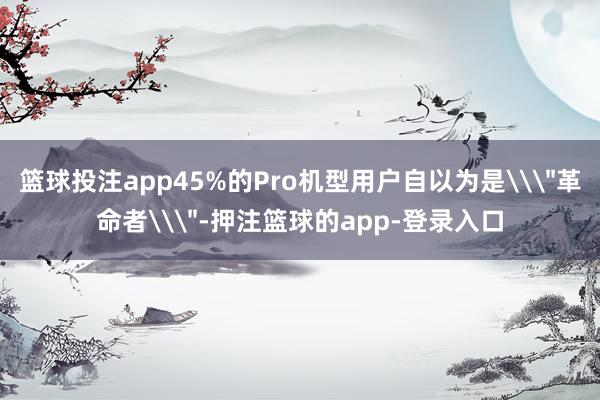 篮球投注app45%的Pro机型用户自以为是\