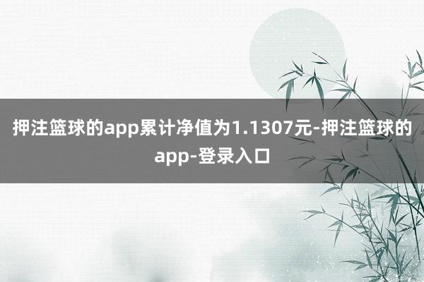 押注篮球的app累计净值为1.1307元-押注篮球的app-登录入口
