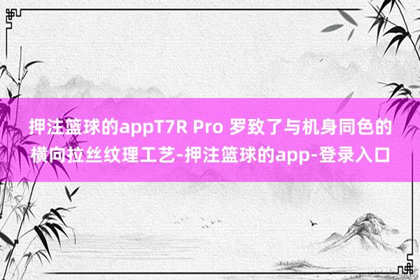 押注篮球的appT7R Pro 罗致了与机身同色的横向拉丝纹理工艺-押注篮球的app-登录入口